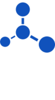 networkfinal